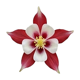 Flower Sudoku Red and White Columbine game icon